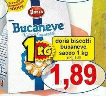 Gros Doria Bucaneve offerta