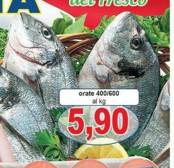 Pewex Orata offerta