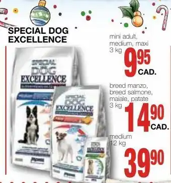 Mondo Brico Special dog excellence offerta