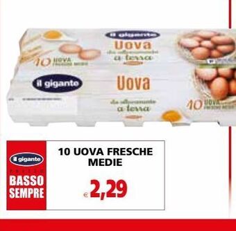 Il Gigante 10 uova fresche medie offerta