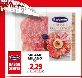 Il Gigante Salame milano 100g offerta