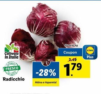 Lidl Radicchio offerta