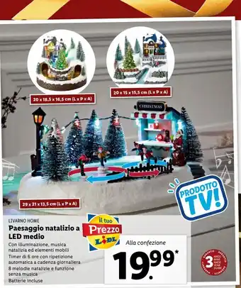 Lidl Paesaggio natalizio a led medio offerta