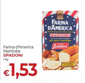 Spadoni farina d' america manitoba 1 kg