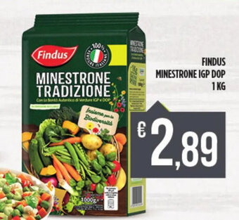Findus Minestrone IGP Dop 1 kg