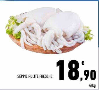 Conad Seppie pulite fresche offerta