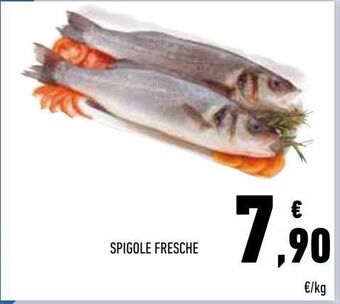 Conad Spigole fresche offerta