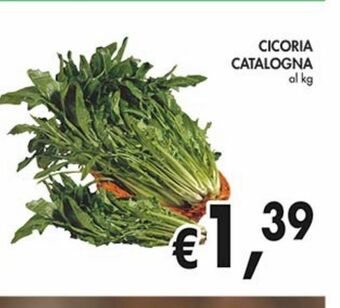 Supermercato Coal Cicoria catalogna offerta