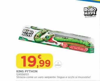 King python