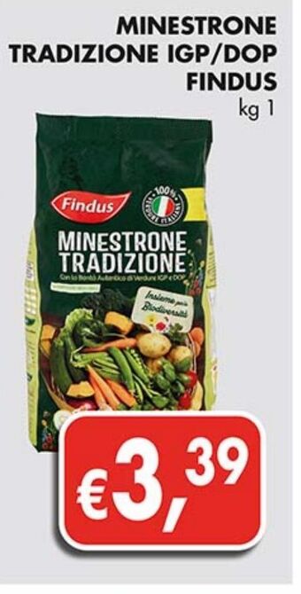 Supermercato Coal Minestrone tradizione igp/dop findus offerta