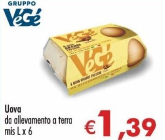 Uova da allevamento a terra mis L x 6