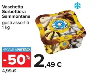 Carrefour Sammontana Vaschetta Sorbettiera 1kg offerta