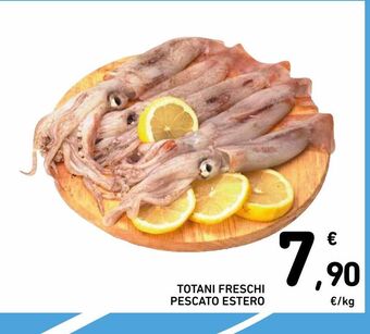 Spazio Conad Totani freschi pescato estero offerta