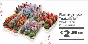 Bricocenter Piante grasse “natalizie” offerta