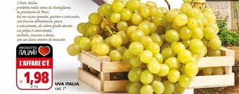 Il Gigante Uva italia offerta