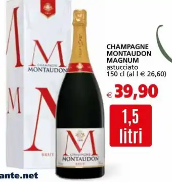 Champagne montaudon magnum
