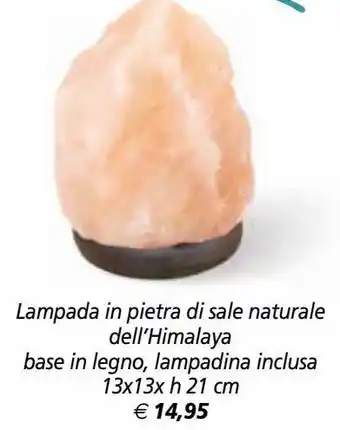 Lampada in pietra di sale naturale dell'hialaya base in legno, lampadina inclusa