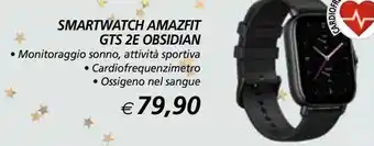 Il Gigante Smartwatch amazfit gts 2e obsidian offerta