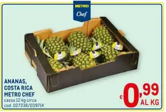 Metro Metro Chef Ananas, Costa Rica 12kg offerta