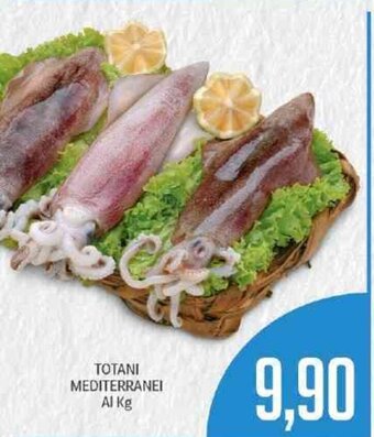 Totani Mediterranei Al Kg
