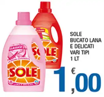 Splendidi e Splendenti Sole Bucato Lana E Delicate 1 LT offerta