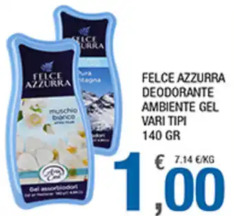 Splendidi e Splendenti Felce Azzurra Deodorante Ambiente Gel 140gr offerta