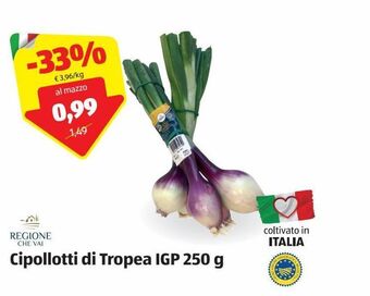Cipollotti di tropea igp 250 g