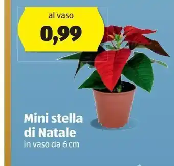 Mini stella di natale