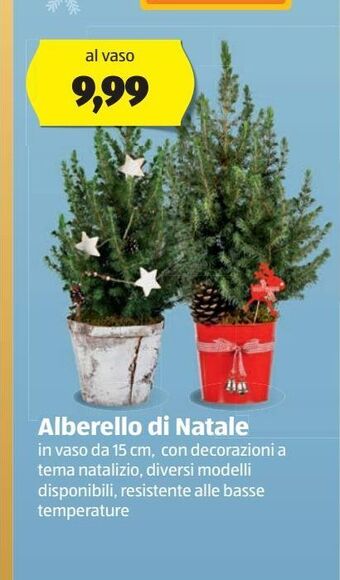ALDI Alberello di natale offerta