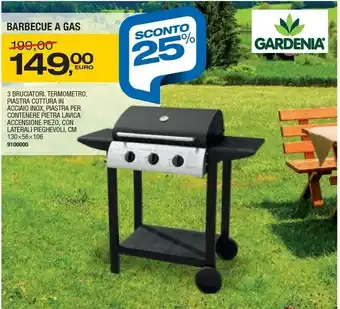 Bricofer Barbecue A Gas offerta