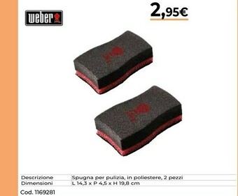 Weber Spugna Per Pulizia, In Polestrie