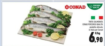 Conad Trota offerta