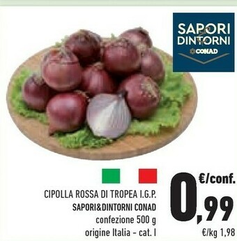 Conad Sapori Cipolle offerta