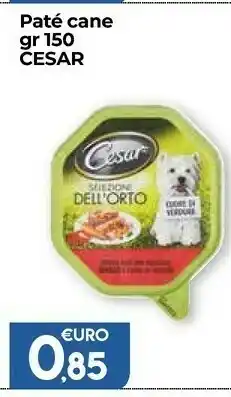 Colonial Sud Dell Cibo per cani offerta