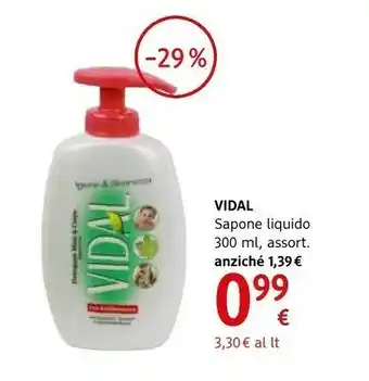 dm drogerie markt Vidal Sapone liquido offerta