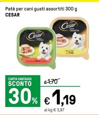 Iper La Grande Cesar Pate Per Cani offerta