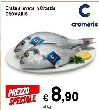 Iper La Grande Cromaris Orata Allevata In Croazia offerta
