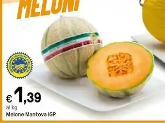 Iper La Grande Melone Mantova Igp offerta