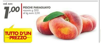 Finocchi