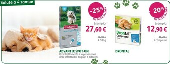 Lloyds Farmacia Farmacia offerta
