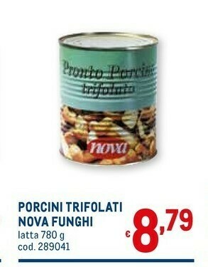 Metro Nova funghi Funghi sott olio offerta