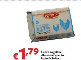 Pam Fattoria Roberti 6 Uova Da Galline Allevate All'Aperto offerta