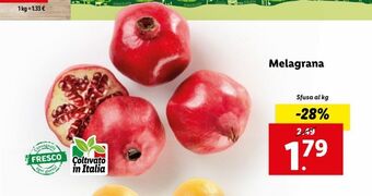 Lidl Melagrana offerta