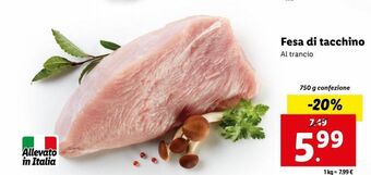 Lidl Fesa di tacchino offerta