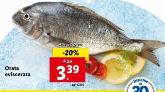 Lidl Orata eviscerata offerta