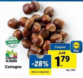 Lidl Castagne offerta