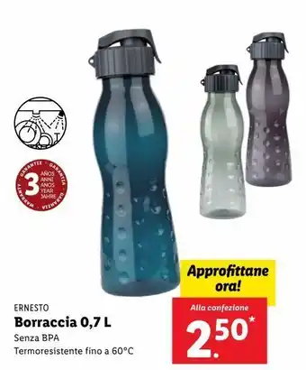 Lidl Borraccia 0.7 l offerta