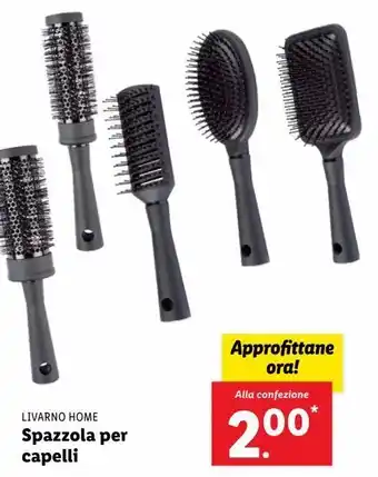 Lidl Spazzola per capelli offerta