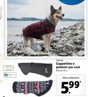 Cappottino o pullover per cani