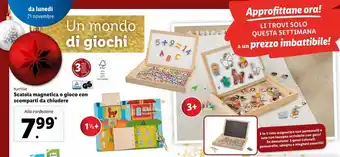 Lidl Scatola magnetica o gioco con scomparti da chiudere offerta